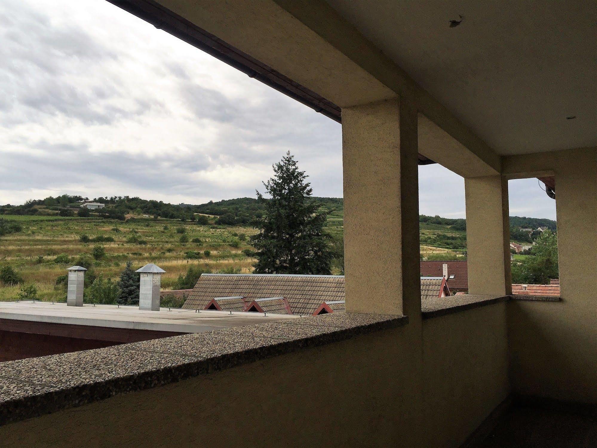 Hotel Maxim Svätý Jur エクステリア 写真